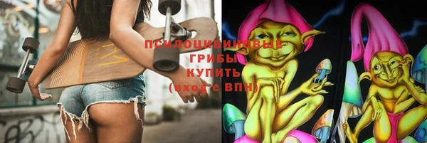 соль ск Богородицк