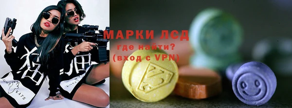 спайс Богданович