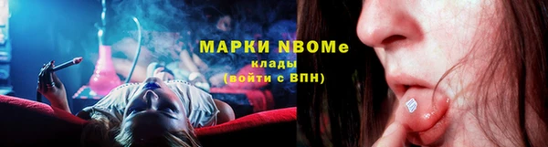 соль ск Богородицк