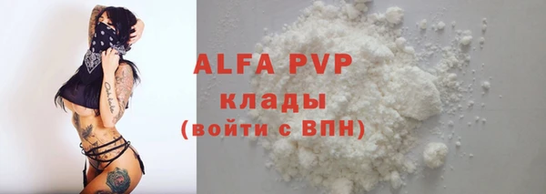 спайс Богданович