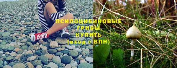 спайс Богданович