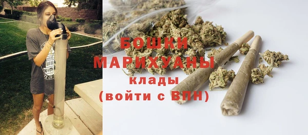 соль ск Богородицк
