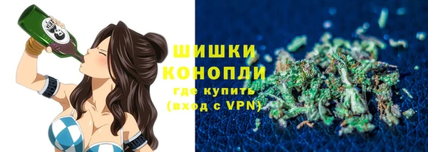 соль ск Богородицк