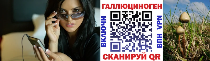 Псилоцибиновые грибы GOLDEN TEACHER  Томск 